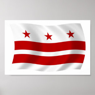 Washington D.C. Flag Poster Druck