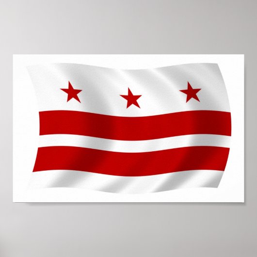 Washington D.C. Flag Poster Print (Vorne)