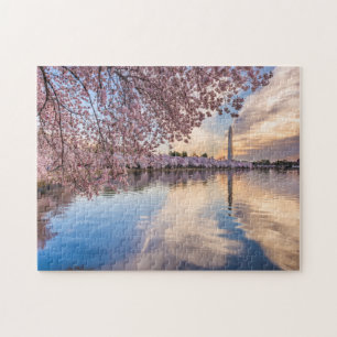 Washington D.C Kirschblüten Puzzle