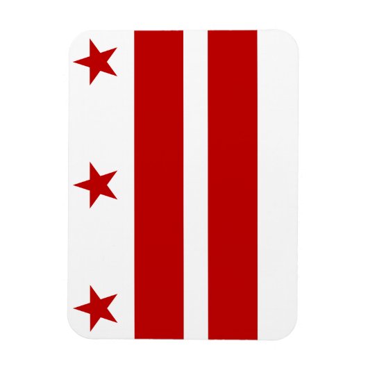 Washington D.C. Magnet (Vertikal)