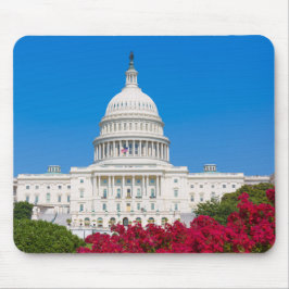 Washington D.C. Mousepad