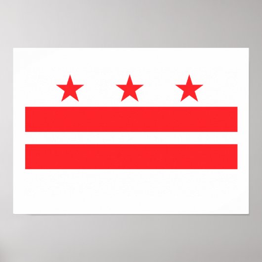 WASHINGTON D.C POSTER (Vorne)