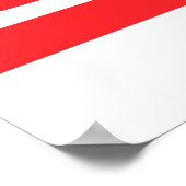 WASHINGTON D.C POSTER (Ecke)