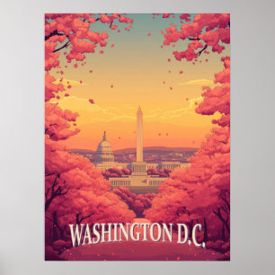 Washington D.C. Poster