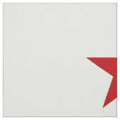 Washington D.C. Stoff (Muster)