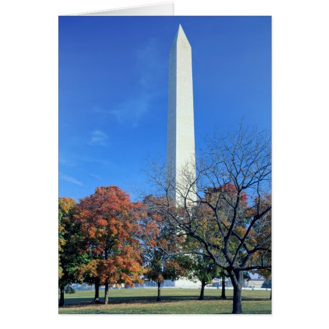 WASHINGTON, D.C. USA Aufstieg zum Washington Monum (Vorne)
