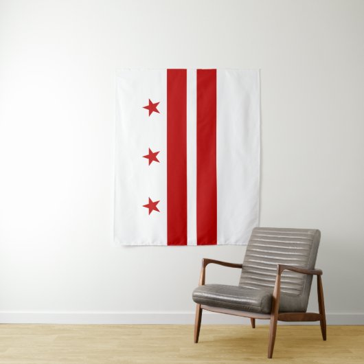 Washington D.C. Wandteppich (Beispiel)