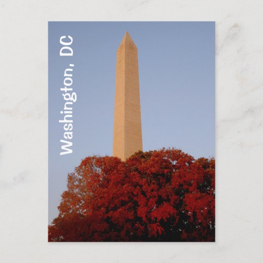 Washington, D.C.: Washington Denkmal im Herbst Postkarte (Vorderseite)