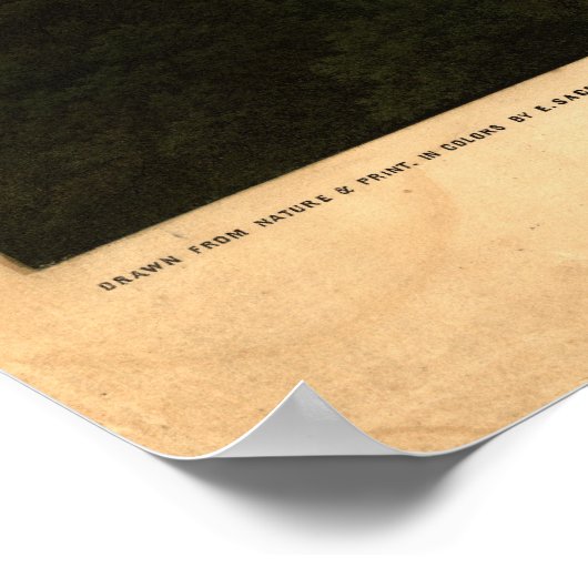 Washington DC 1857 Antike Panoramakarte Poster (Ecke)