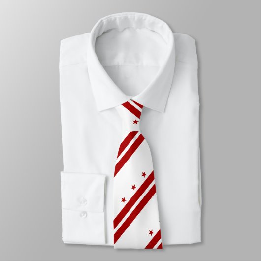 Washington DC-Flagge Krawatte (Gebunden)