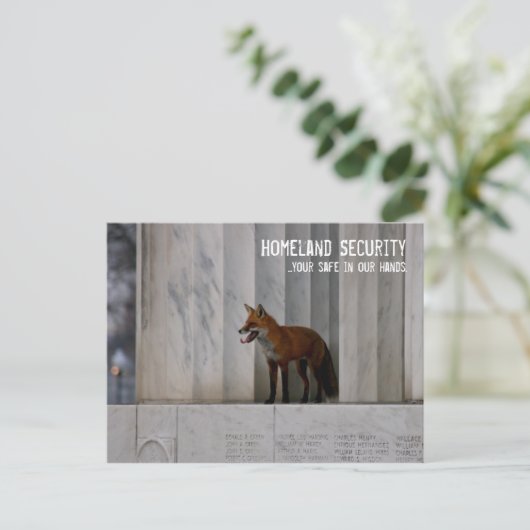 Washington, DC: Heimat-Sicherheits-Spaß Postkarte (Stehend Vorderseite)