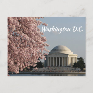 Washington DC im Frühjahr Postcard Postkarte