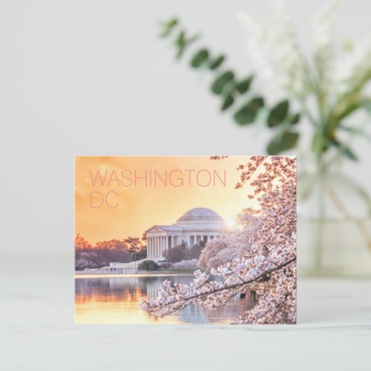Washington DC Jefferson Memorial Cherry Blossoms Postkarte (Stehend Vorderseite)