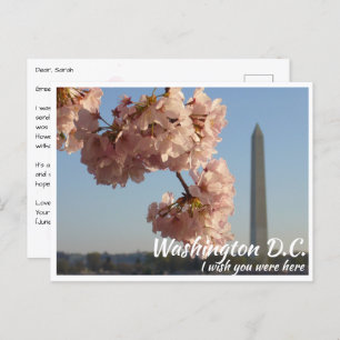 Washington DC Jefferson Memorial mit Cherry Tree Postkarte