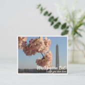 Washington DC Jefferson Memorial mit Cherry Tree Postkarte (Stehend Vorderseite)