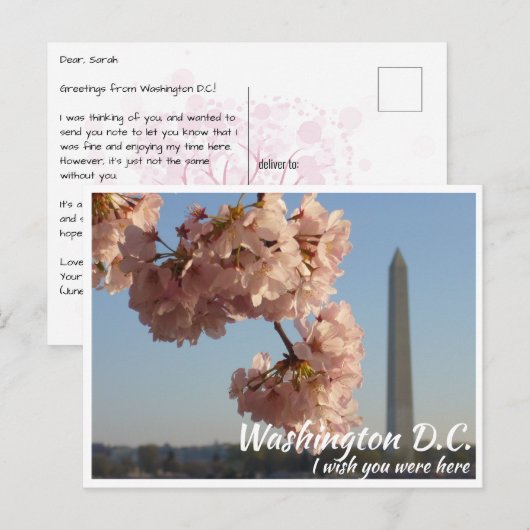 Washington DC Jefferson Memorial mit Kirschbaum Postkarte (Vorne/Hinten)