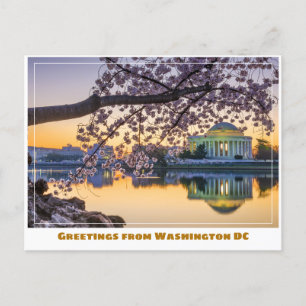 Washington DC Jefferson Memorial mit Kirschzweig Postkarte