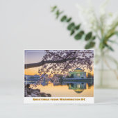 Washington DC Jefferson Memorial w Cherry Branch Postkarte (Stehend Vorderseite)