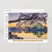 Washington DC Jefferson Memorial w Cherry Branch Postkarte (Vorne/Hinten)