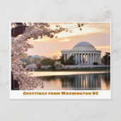 Washington DC Jefferson Memorial w Cherry Tree Postkarte (Vorderseite)