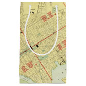 Washington, DC Kleine Geschenktüte (Vorderseite)