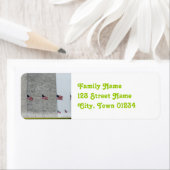 Washington DC Monument (Insitu)