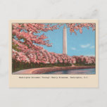 Washington DC Monument Kirsche Blüten Postkarte<br><div class="desc">Machen Sie einen Ausflug in die Hauptstadt der Nation mit dieser Vintagen Reproduktion aus Washington,  D.C. auf Postkarten mit dem berühmten Washington Monument im Frühjahr,  mit Kirschblüten in voller Blüte. Ideal zum Versenden an Freunde und Familie oder zum Hinzufügen zu Ihrer thematischen Sammlung.</div>