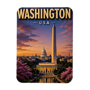 Washington DC Monumente Capitol Skyline Magnet