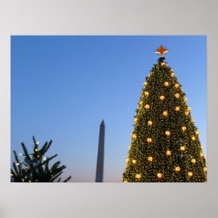 Washington DC Nationaler Weihnachtsbaum in der Däm Poster