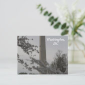 Washington, DC Postcard Postkarte (Stehend Vorderseite)