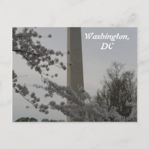 Washington, DC Postcard Postkarte
