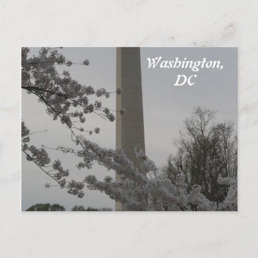 Washington, DC Postcard Postkarte (Vorderseite)