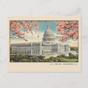 Washington DC Postcard US Hauptstadt Kirschblüten Postkarte