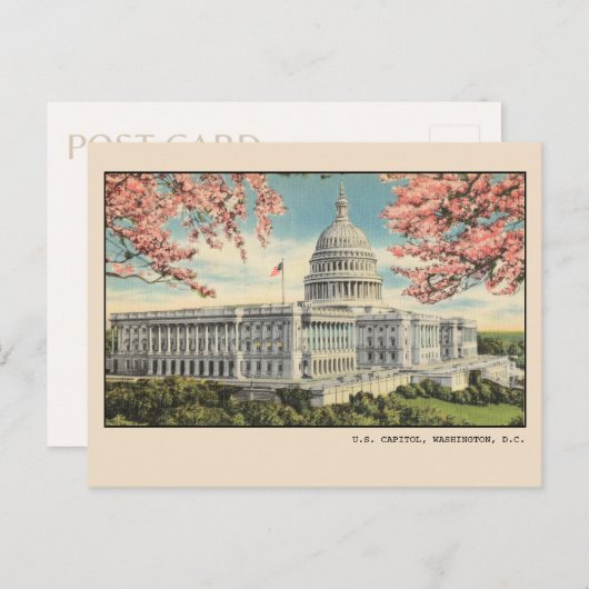 Washington DC Postcard US Hauptstadt Kirschblüten Postkarte (Vorne/Hinten)