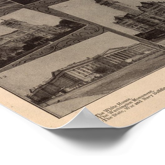 Washington, DC Poster (Ecke)