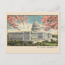 Washington DC Postkarte US Kapitol Kirschblüten