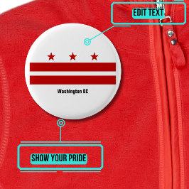 Washington DC Pride Button