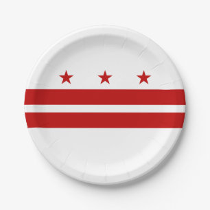 Washington DC Staatsflagge Pappteller