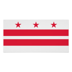 Washington DC Staatsflagge Poster