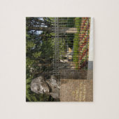 Washington, DC, Statue von George Washington, Puzzle (Vertikal)