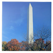 WASHINGTON, DC USA. Washington-Monumentaufstiege Fliese (Vorderseite)