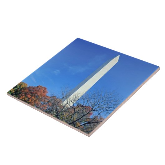 WASHINGTON, DC USA. Washington-Monumentaufstiege Fliese (Seite)