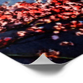 Washington DC Washington Memorial Poster (Ecke)