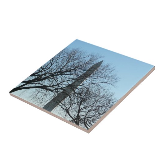 Washington Denkmal im Winter I Landschaft Fliese (Seite)