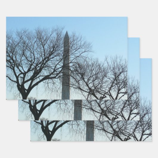 Washington Denkmal im Winter I Landschaft Geschenkpapier Set (Set)