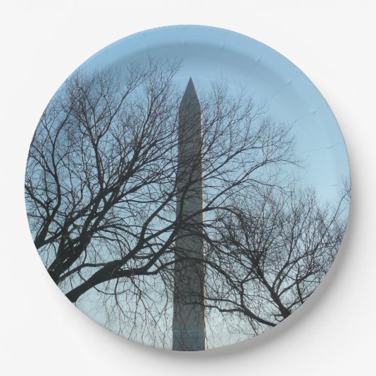 Washington Denkmal im Winter I Landschaft Pappteller (Vorderseite)