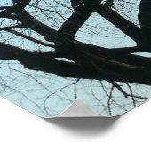 Washington Denkmal im Winter I Landschaft Poster (Ecke)