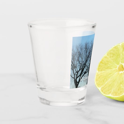 Washington Denkmal im Winter I Landschaft Schnapsglas (Links)