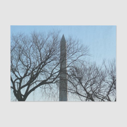 Washington Denkmal im Winter I Landschaft Seidenpapier (Vorderseite)