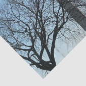 Washington Denkmal im Winter I Landschaft Seidenpapier (Ausschnitt)